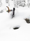 Lib Tech Golden Orca 2026 Snowboard
