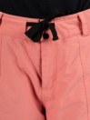 Armada Team Issue 2L Insulated Cargo Housut