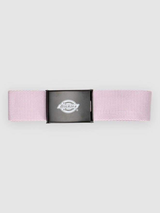 Dickies Orcutt Webbing Bælte