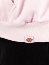Dickies Slayden Gd Hoodie