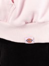 Dickies Slayden Gd Felpa con Cappuccio