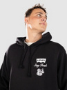 Levi's Lse_T2 Relaxed Graphic P Hoodie