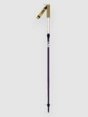 Line Paintbrush 2026 Skistöcke