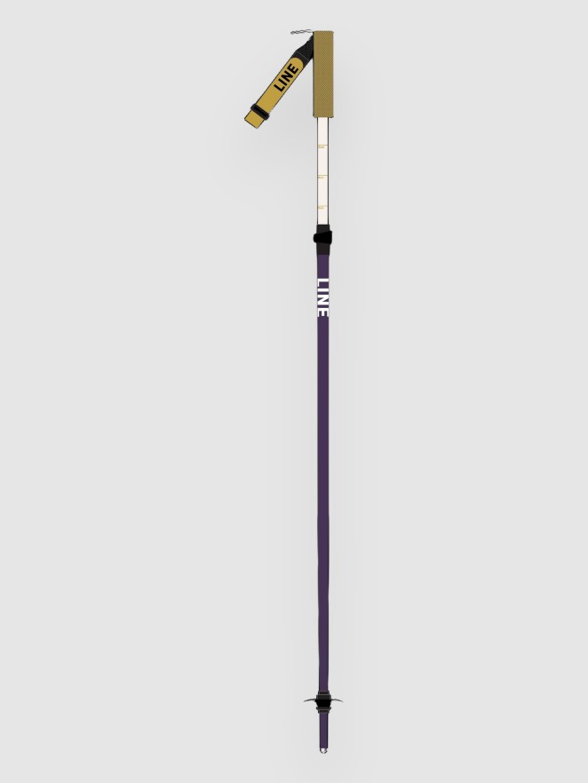 Line Paintbrush 2026 Ski Poles