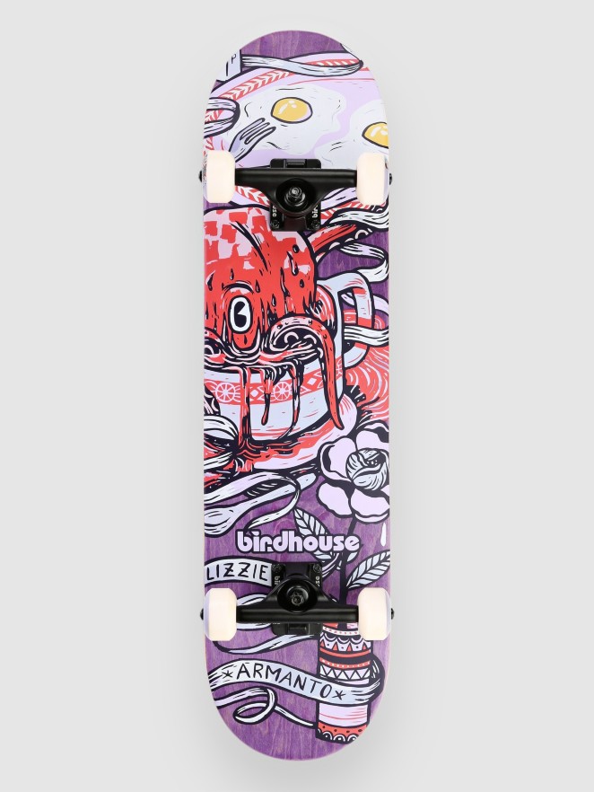 Birdhouse Armanto Favorites7.75″ Komplette