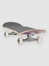 DGK Crypt 7.75″ Complete