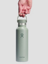 Hydro Flask 21 Oz Standard Flex Cap Flasche
