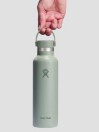 Hydro Flask 21 Oz Standard Flex Cap Flasche