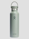 Hydro Flask 21 Oz Standard Flex Cap Bottle