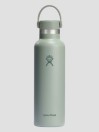Hydro Flask 21 Oz Standard Flex Cap Flasche