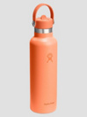 Hydro Flask 21 Oz Standard Flex Straw Cap Flasche