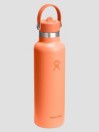 Hydro Flask 21 Oz Standard Flex Straw Cap Flasche