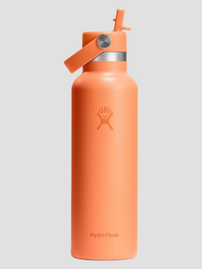 Hydro Flask 21 Oz Standard Flex Straw Cap Flasche