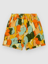 The Dudes Hardcore Premium Ez Shorts