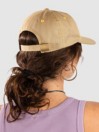 Stance Standard Adjustable Cap