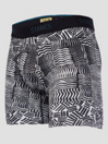 Stance Crosshatch Wholester Boxershorts