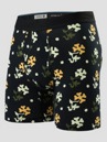 Stance Pop End Brief Boxershorts