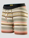 Stance Curren Brief Boxershorts