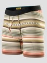 Stance Curren Brief Boxershorts