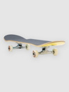 Blind Colored Logo Fp 8″ Complete