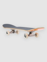 Blind Vintage Blind Logo Yth Fp 7.25″ Skateboard Completo