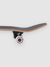Birdhouse B Logo 7.75″ Skateboard Complete