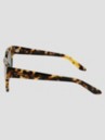 Dragon Rowan LL Polar Shiny Tokyo Tortoise Lunettes de soleil
