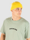 Dickies Outdoor Camiseta