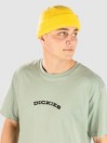 Dickies Outdoor T-Shirt