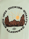 Dickies Outdoor Camiseta