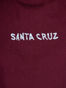 Santa Cruz BT Ringed Screaming Flame T-Shirt