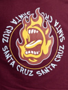 Santa Cruz BT Ringed Screaming Flame Tricko