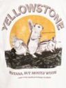 Dravus Yellowstone Boxy T-Shirt