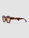 CHPO The AK Turtle Brown Sunglasses