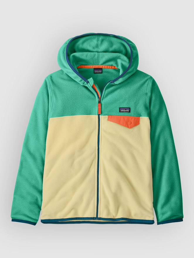Patagonia Micro D Snap Kids Zip Hoodie