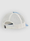 Patagonia P-6 Logo Trucker Cap