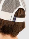 Patagonia P-6 Logo Trucker Cap