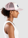 Patagonia P-6 Logo Trucker Cap
