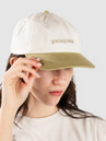 Patagonia Fitz Roy Icon Trad Cap