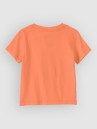 Patagonia Graphic Kids Tricko
