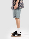 Patagonia Baggies Lights - 6 In. Shorts