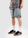 Patagonia Baggies Lights - 6 In. Shorts