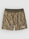 Patagonia Hydropeak Volley - 16 In. Shorts