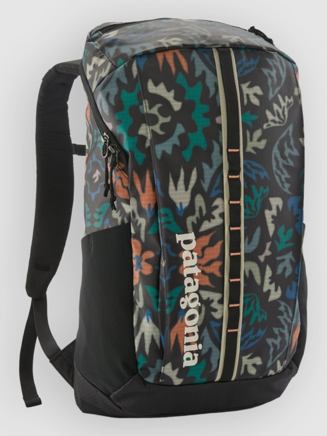 Patagonia Black Hole 25L Backpack