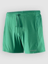 Patagonia Strider Pro - 5 In. Shorts