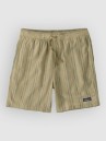 Patagonia Baggies Naturals Shorts