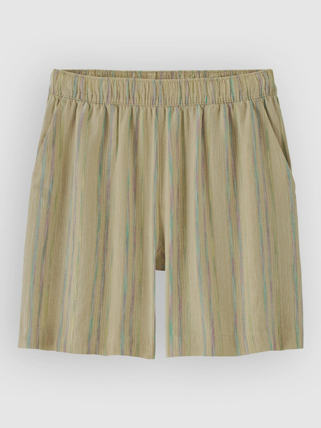Patagonia Garden Island Long - 6 In. Shorts