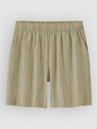 Patagonia Garden Island Long - 6 In. Shorts
