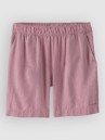 Patagonia Garden Island Long - 6 In. Shorts