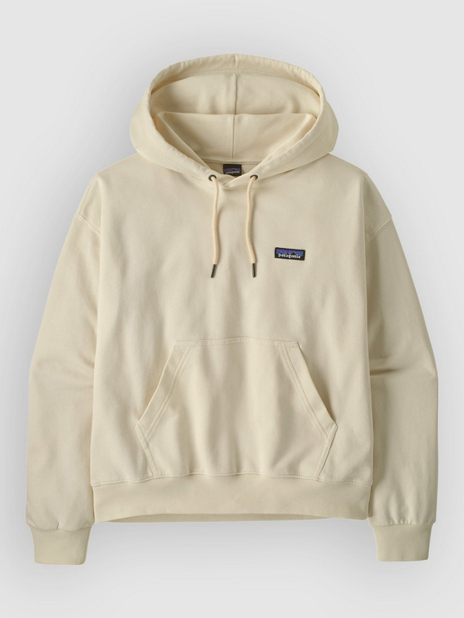 Patagonia Daily Hoodie